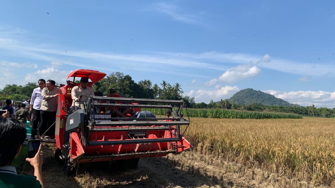 Serapan Gabah Kabupaten Jember Melesat 300 Persen di Tahun 2025 1 Serapan Gabah Kabupaten Jember