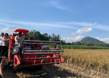 Serapan Gabah Kabupaten Jember