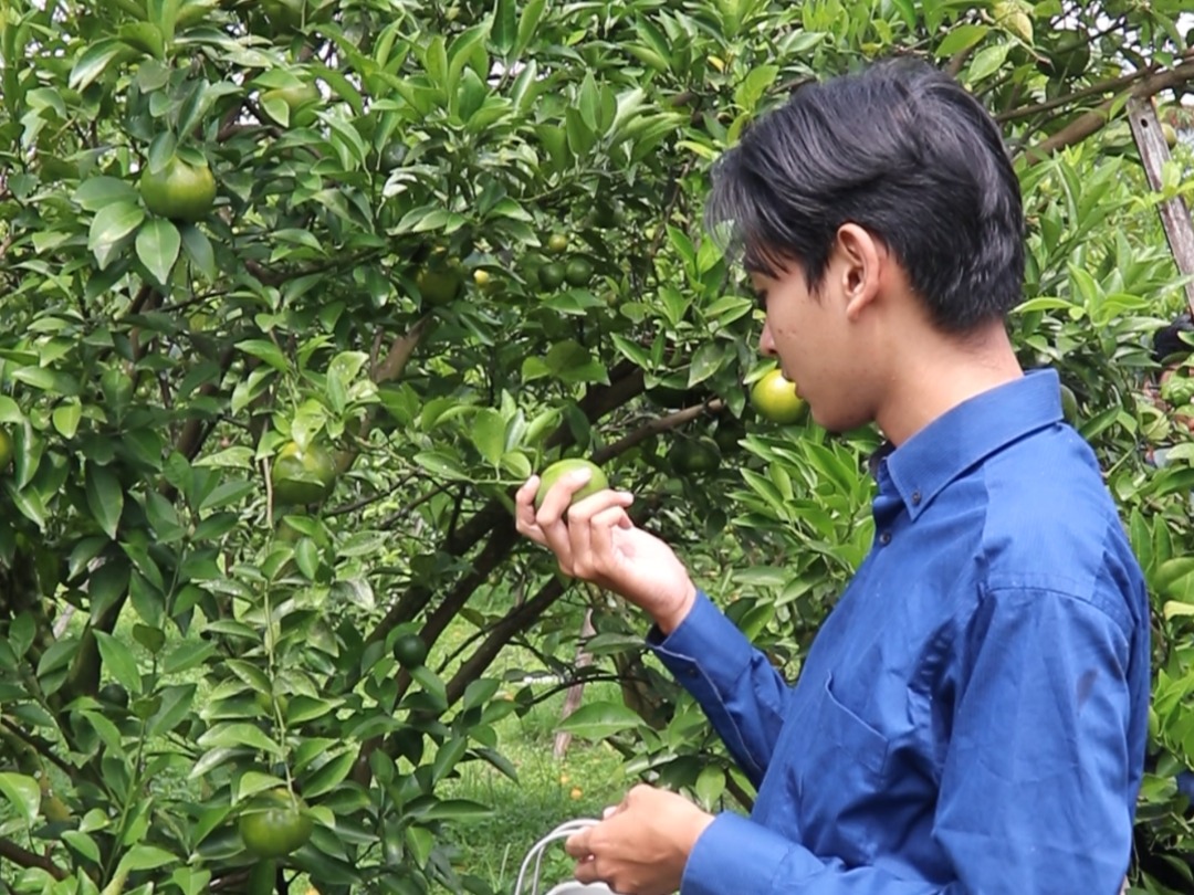 Polije Buka Paket Agrowisata Inovatif di Tengah Kota Jember 2 Polije