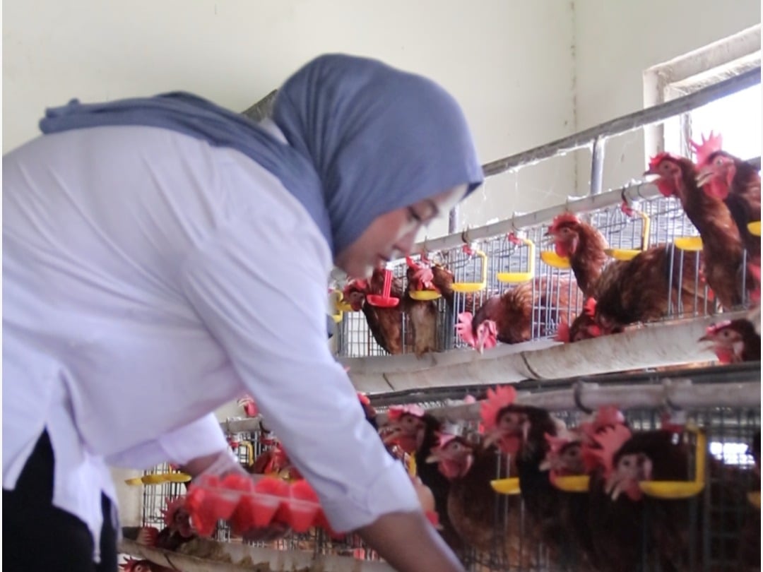 Polije Buka Paket Agrowisata Inovatif di Tengah Kota Jember 3 Polije