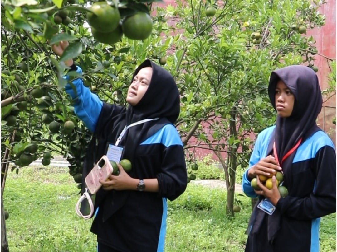 Polije Buka Paket Agrowisata Inovatif di Tengah Kota Jember 1 Polije
