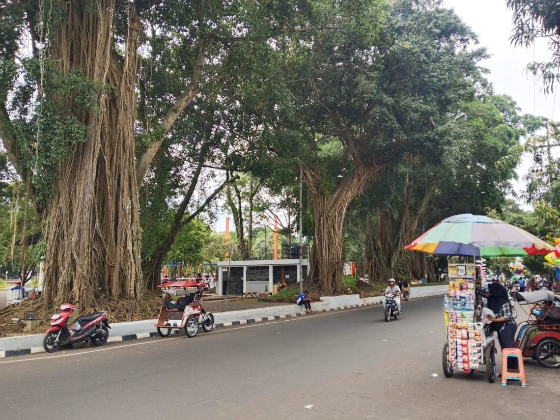 Zona PKL