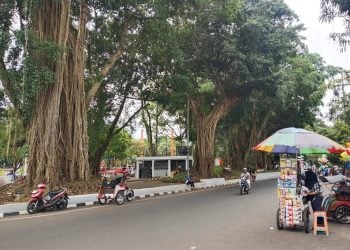 Zona PKL