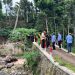 Banjir Bandang Rusak Sejumlah Jembatan di Jember, Pemprov Jatim Petakan Prioritas Perbaikan 12 banjir bandang
