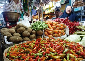 Harga Cabai Rawit