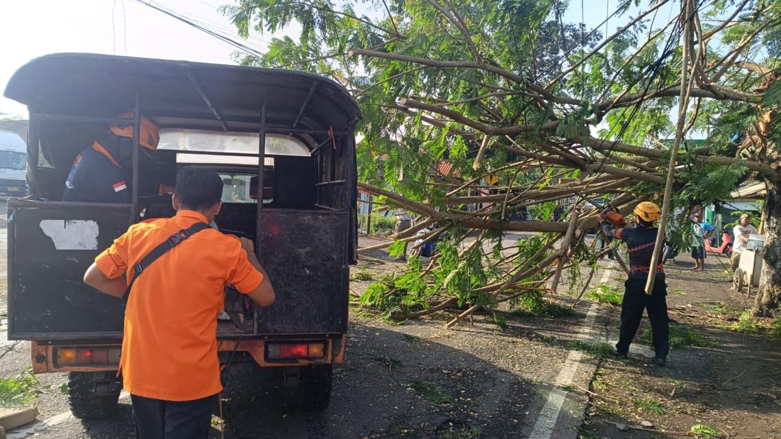 Jalan Argopuro Jember