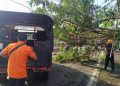 Jalan Argopuro Jember