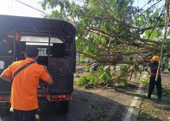 Jalan Argopuro Jember