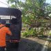 Jalan Argopuro Jember