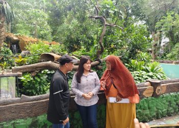 Kebun Binatang Surabaya