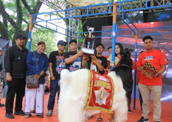 Kontes Kambing Mapec Solidarity
