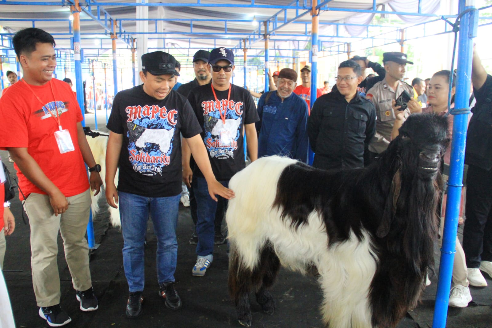 Kontes Kambing Mapec Solidarity