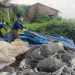 Clean Up Ratusan Ton Limbah Berbahaya di Mojokerto Rampung 8 limbah berbahaya
