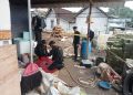 Warga Talangkembar-Tuban Temukan Benda Besi Berkarat Mirip Granat Saat Gali Pondasi 11 Benda Besi Berkarat mirip granat