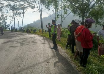 Mobil Pikap Terperosok ke Jurang