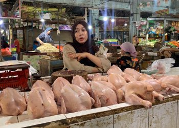 Pedagang daging ayam