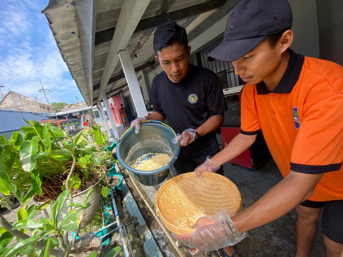Menilik Produksi Tempe Dibalik Jeruji di Mojokerto 1 Produksi Tempe