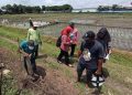 Pusat Pemerintahan Baru Kabupaten Mojokerto