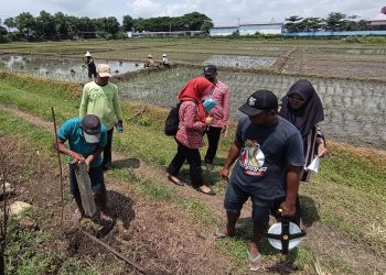 Pusat Pemerintahan Baru Kabupaten Mojokerto