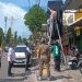 Toko Jual Minuman Beralkohol