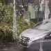 Hujan Angin di Surabaya Terparah, Tumbangkan Puluhan Pohon hingga Rusak Rumah Warga 8 Hujan angin di Surabaya.