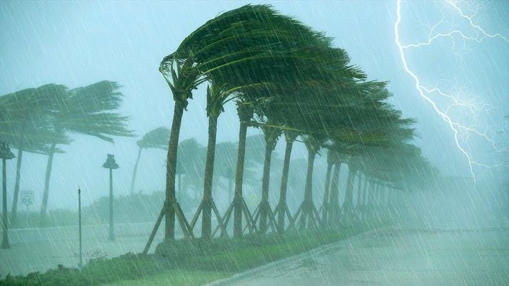 Prakiraan BMKG! Cuaca di Jatim Terkini Berawan hingga Hujan Petir pada Rabu 4 Februari 2026 1 Cuaca di Jatim.