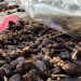 Jelang Ramadhan, Permintaan Kurma di Jember Melonjak Drastis 8 Kurma di Jember.
