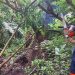 Tanah Longsor Karangploso Malang Menerjang, Saluran Irigasi Sawah Warga 3 Dusun Terputus 8 Longsor Karangploso.
