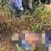 40 Hari Hilang di Hutan, Warga Temukan Mayat Pria di Bukit Keciri Pasuruan Diduga MD Akibat Sakit dan Kelaparan 8 Mayat pria.