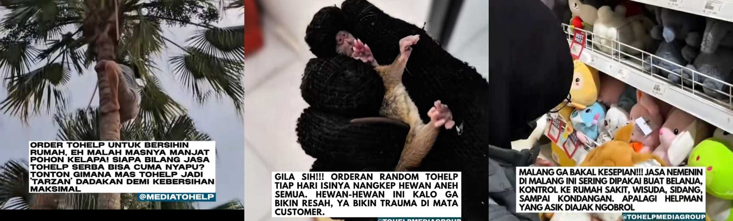 To Help Malang Tawarkan Layanan Unik "Serba Bisa": Bangunin Tidur hingga Temani Kencan 5 Kontak To Help Malang.