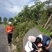Pohon Tumbang di Pasuruan Tewaskan Seorang Remaja Putri dan 3 Orang Luka-Luka 8 pohon tumbang di Pasuruan