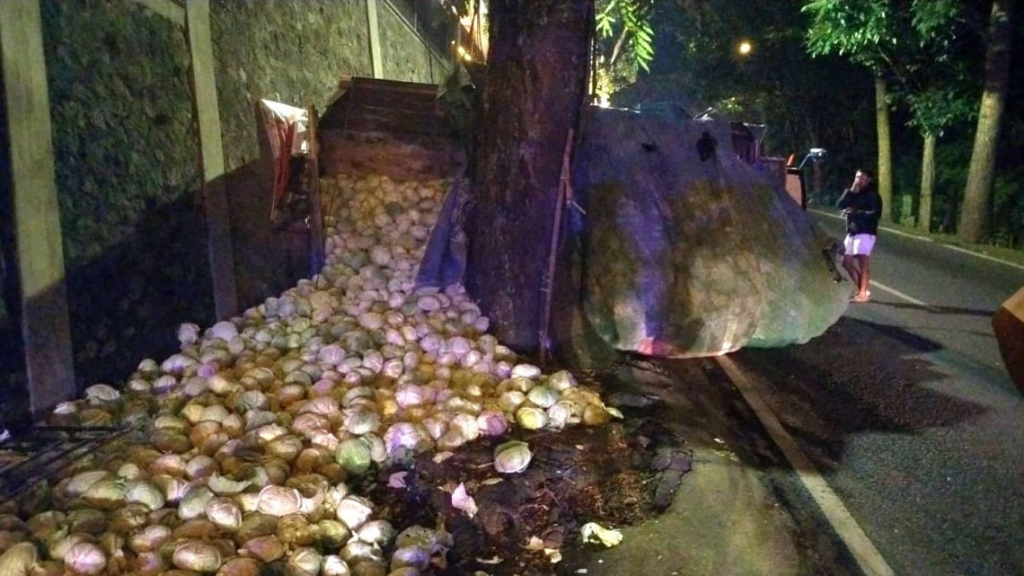 Truk Muatan Sayur Kol 6 Ton Terguling Saat Tak Kuat Menanjak di Kali Lanang Kota Batu 1 Truk muatan sayur kol