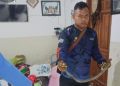 ular berbisa