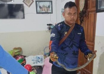 ular berbisa