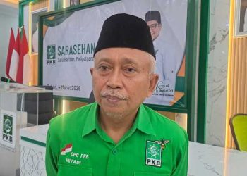 Mobil listrik bupati.