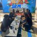 Jurnalis Tuban Siapkan Festival Alam Lestari, Target Tanam 10 Ribu Pohon dan Tebar Benih Ikan 8 Jurnalis Tuban.