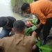 Pasca Bermain, Anak di Surabaya Ditemukan Tewas usai Tenggelam di Waduk Sambikerep 8 Anak di Surabaya.