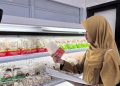 Sidak pangan di Tuban.