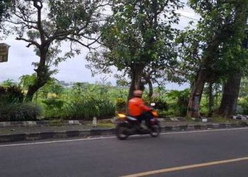 Alun-Alun Kepanjen.