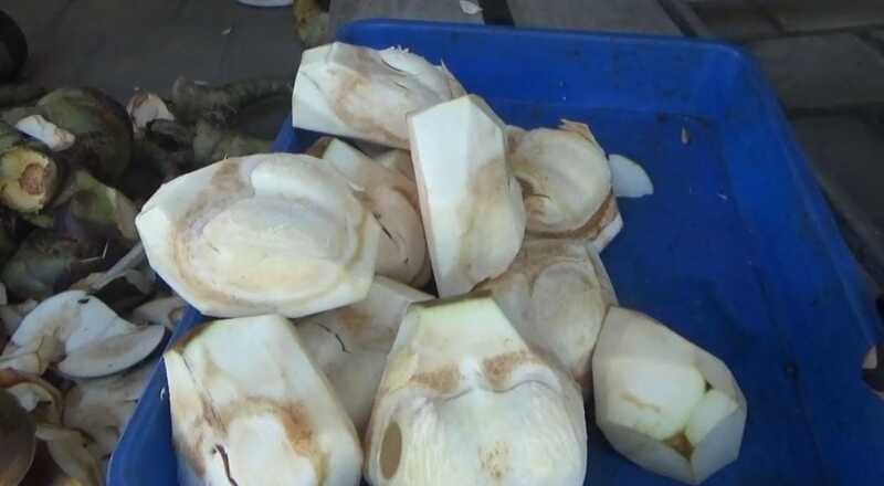 Oleh-oleh Tuban.