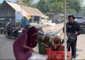 Ikan asap.
