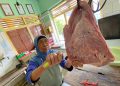 Harga Daging
