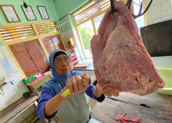 Harga Daging