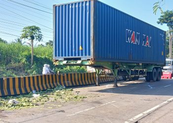 Trailer Rem Blong