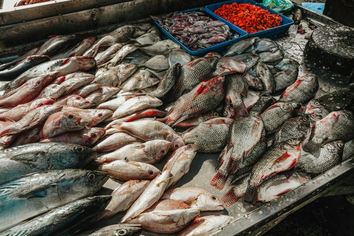 Jarang Disadari 9 Manfaat Ikan untuk Jantung, Otak Hingga Kualitas Tidur 1 Manfaat Ikan