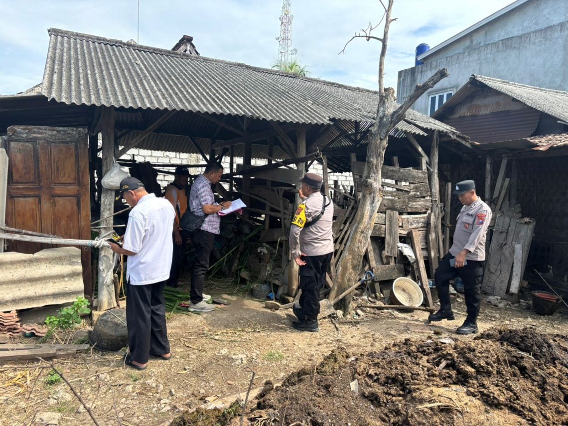 Sapi Raib di Tiga Lokasi di Tuban