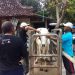 Sapi Peranakan Ongole Bojonegoro: Unggul dalam Genetik Tertatih di Pasar 8 Sapi Peranakan Ongole