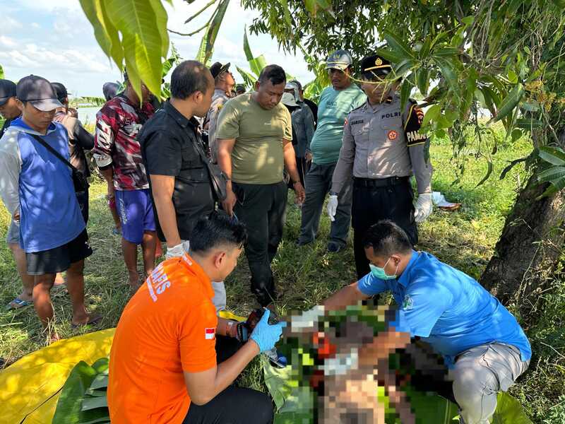 Geger! Warga Widang Temukan Mayat Mengambang di Tambak Tuban 1 Mayat mengambang.