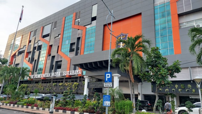 DTSEN 2025 warga Surabaya.