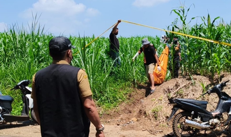 Penemuan Mayat di Wisata Populer Wonosalam Jombang, Jasad Membusuk di Ladang Jagung 1 Penemuan mayat.